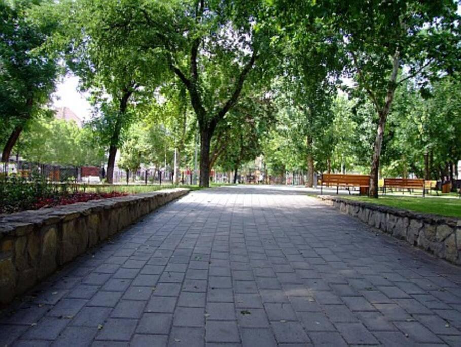 Central 30M2 A/C Apartment, 3 Min From Ny Cafe Budapest Ngoại thất bức ảnh